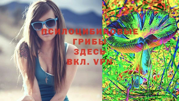 ПСИЛОЦИБИНОВЫЕ ГРИБЫ Беломорск