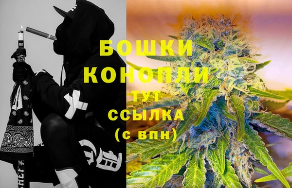 эйфоретик Белокуриха
