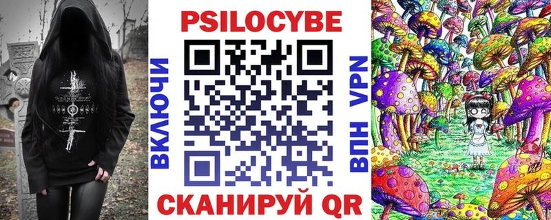 где купить наркоту  Пионерский  Галлюциногенные грибы мухоморы 